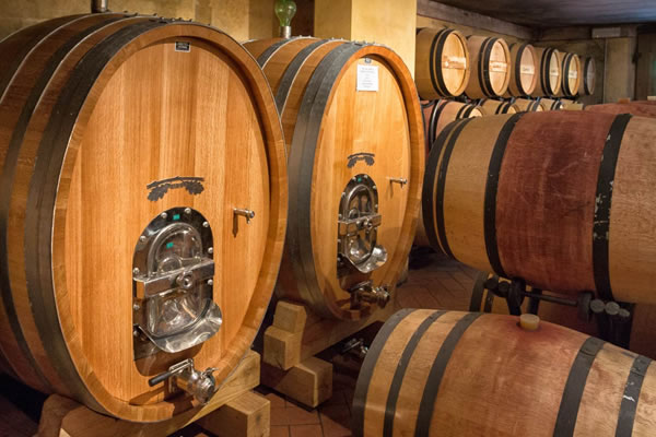 Cellar and barriques in Cantalici Winery in Chianti Classico