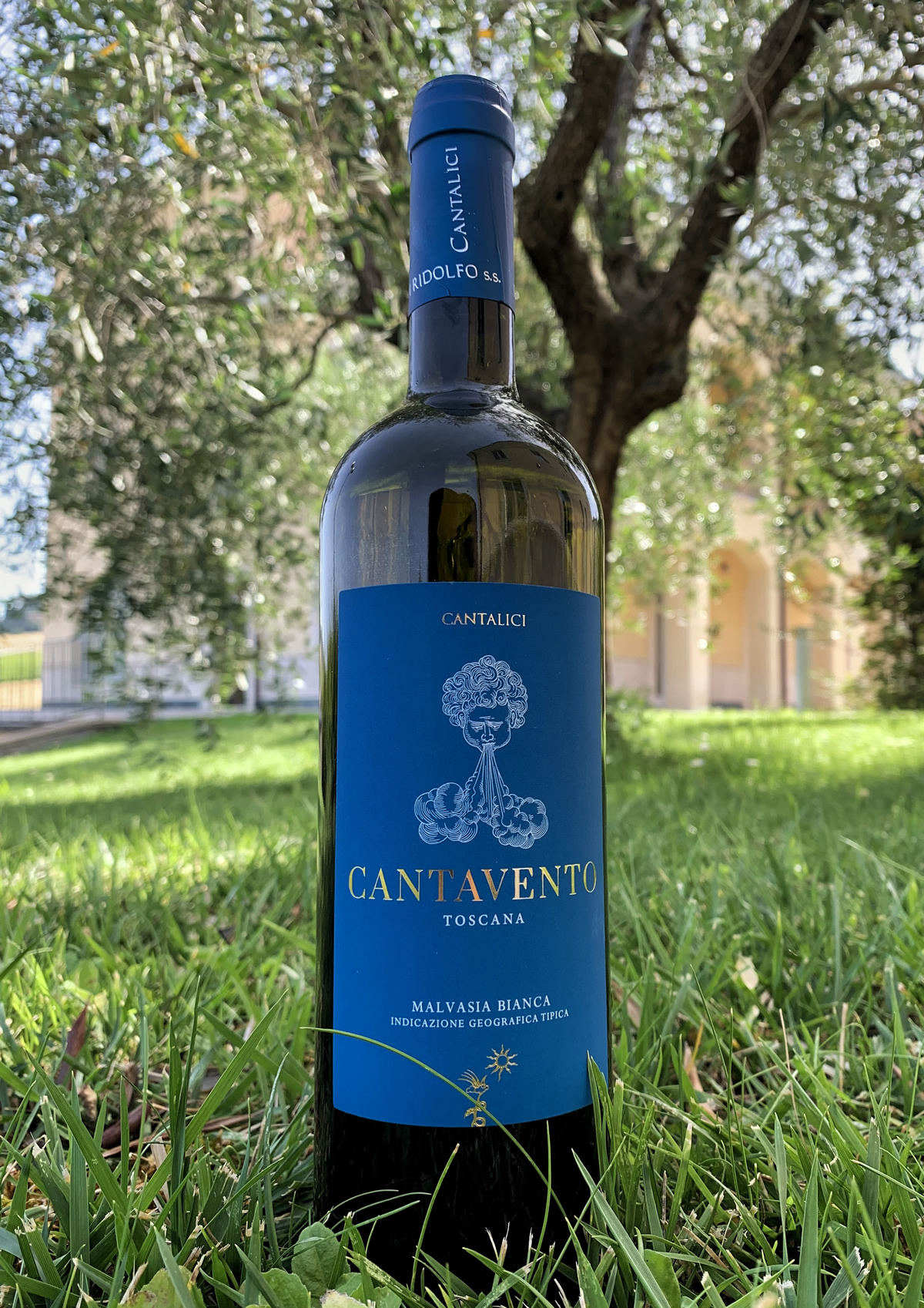 Cantavento Cantalici vino bianco Chianti IGT