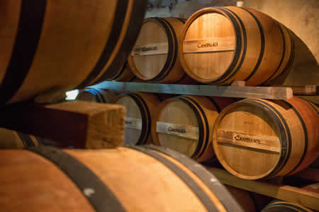 Vista di alcune botti della cantina Cantalici