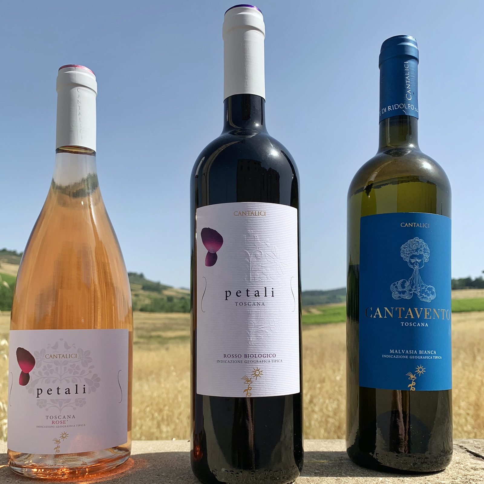 Rosato, bianco o rosso? Come si sceglie il vino giusto?